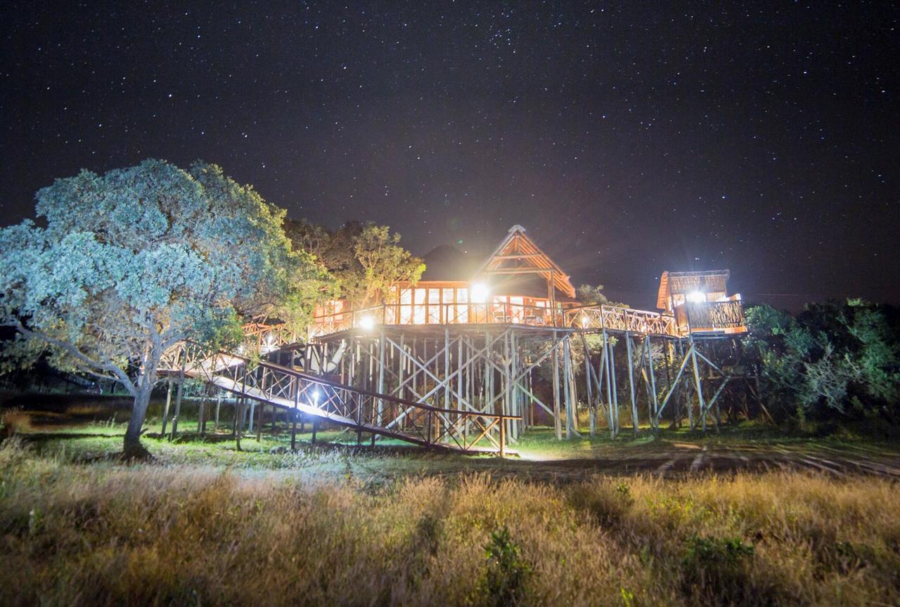 הודספרויט Pezulu Tree House Lodge מראה חיצוני תמונה