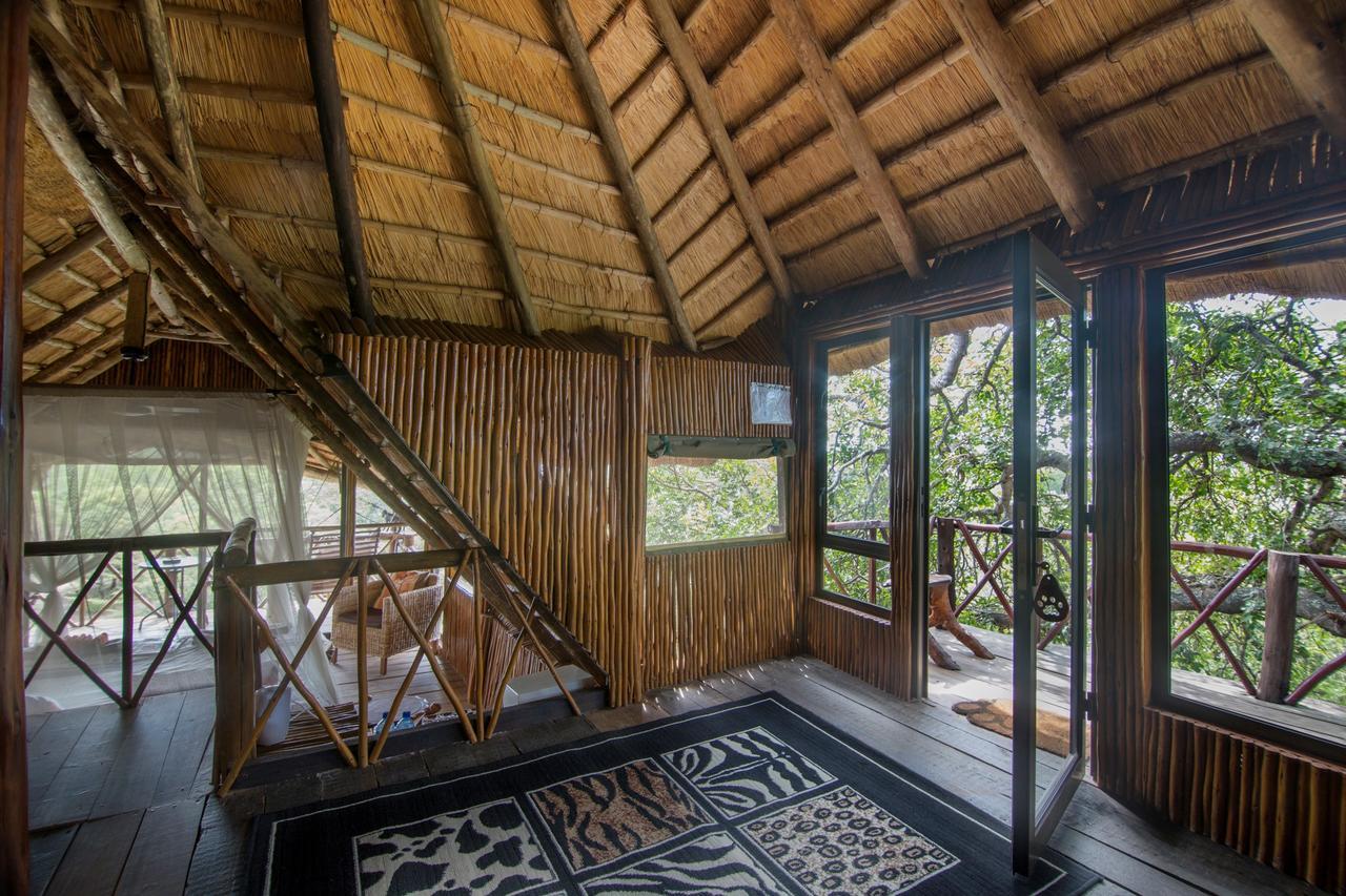 הודספרויט Pezulu Tree House Lodge מראה חיצוני תמונה