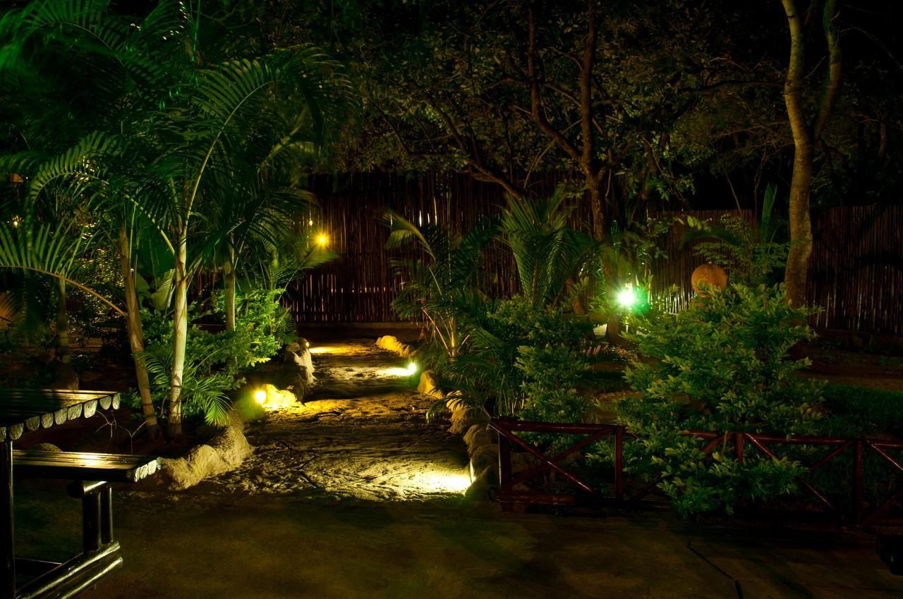 הודספרויט Pezulu Tree House Lodge מראה חיצוני תמונה