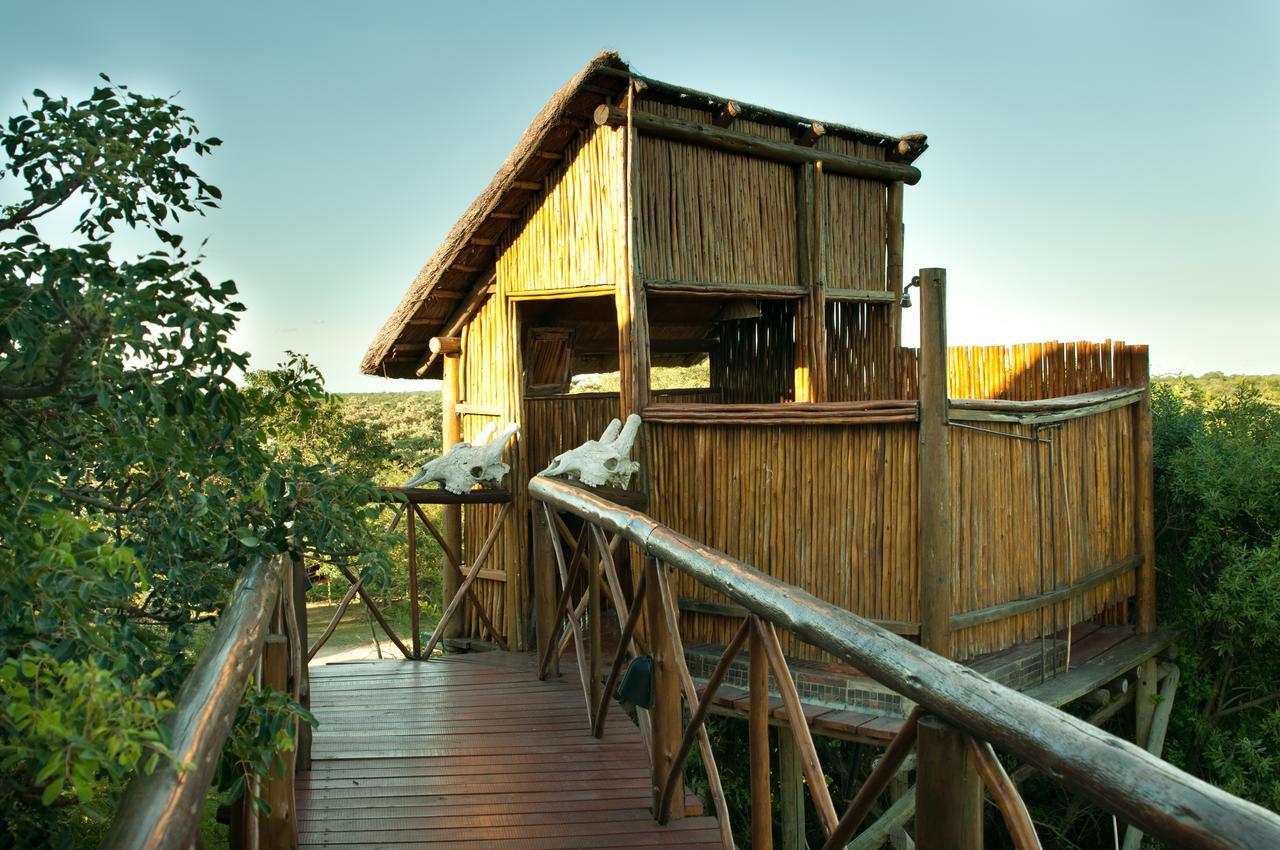 הודספרויט Pezulu Tree House Lodge מראה חיצוני תמונה