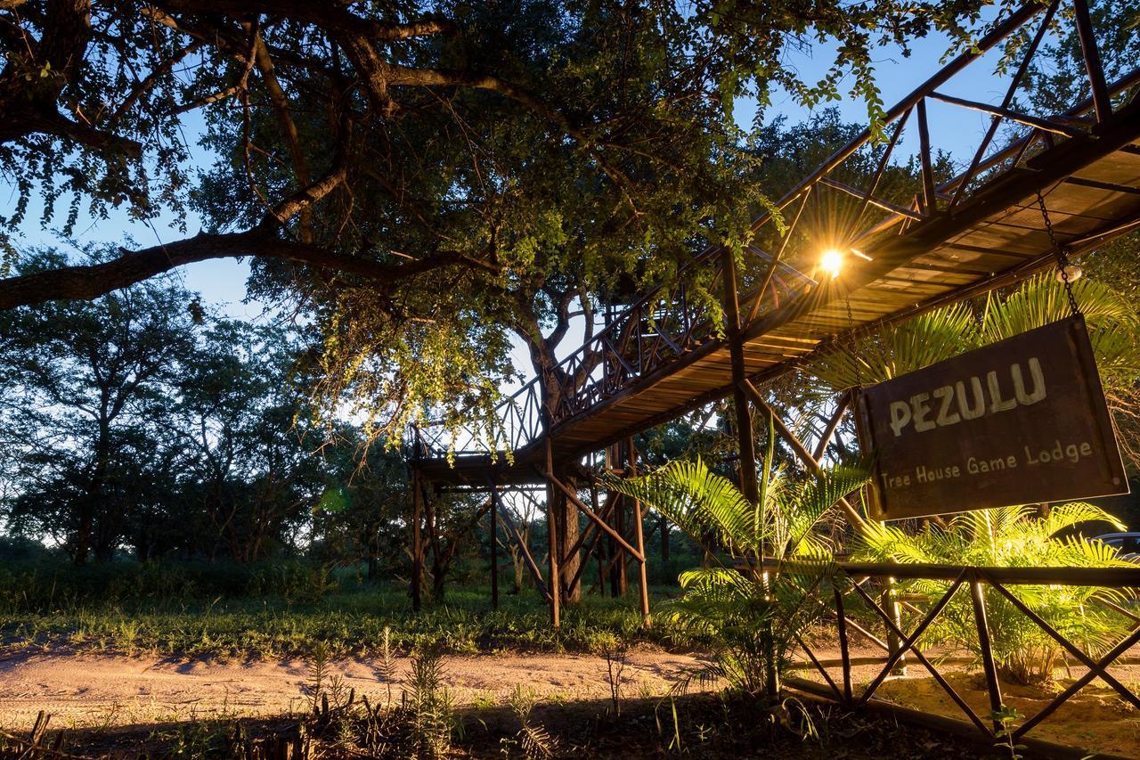 הודספרויט Pezulu Tree House Lodge מראה חיצוני תמונה