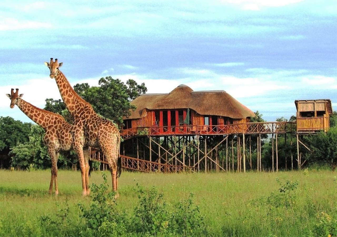 הודספרויט Pezulu Tree House Lodge מראה חיצוני תמונה