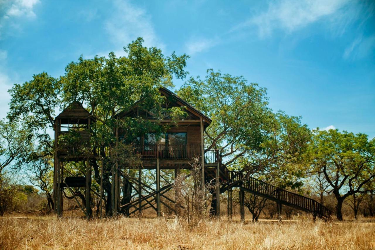 הודספרויט Pezulu Tree House Lodge מראה חיצוני תמונה