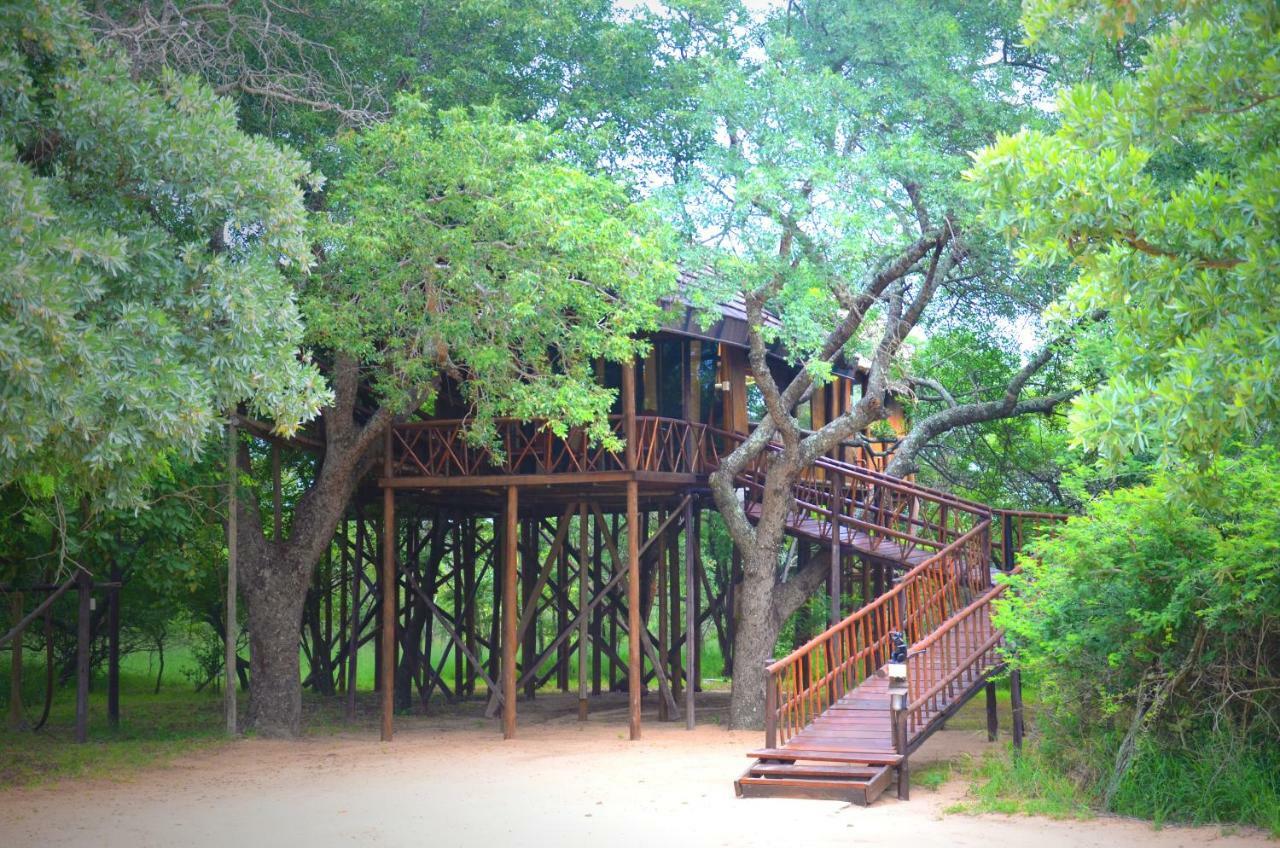 הודספרויט Pezulu Tree House Lodge מראה חיצוני תמונה