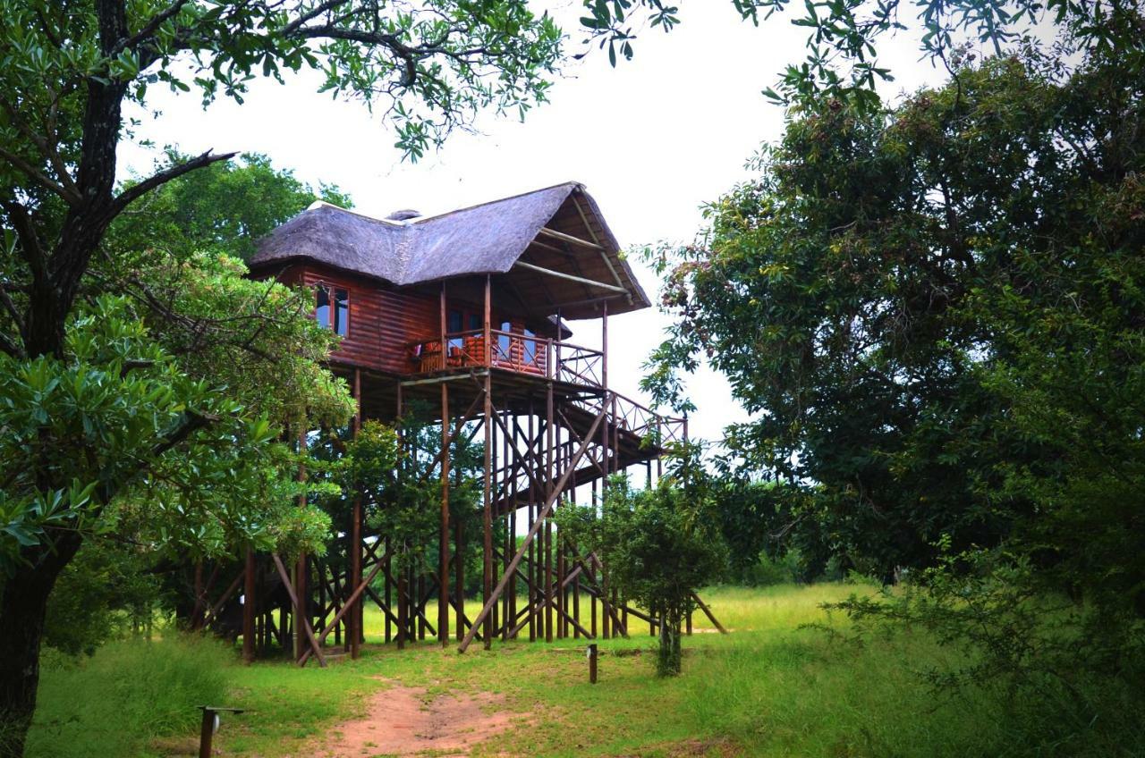 הודספרויט Pezulu Tree House Lodge מראה חיצוני תמונה