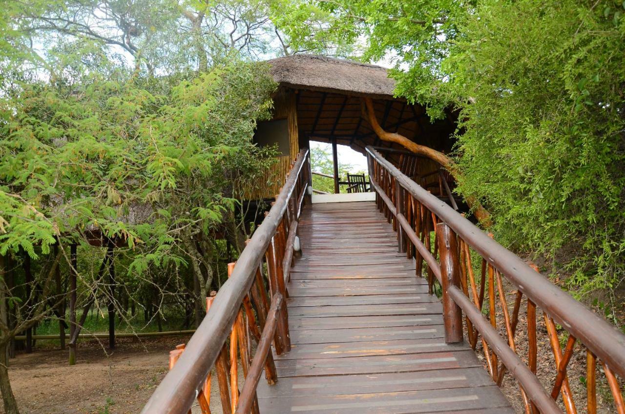 הודספרויט Pezulu Tree House Lodge מראה חיצוני תמונה