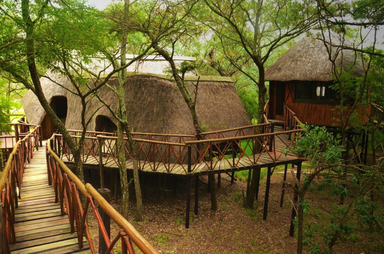 הודספרויט Pezulu Tree House Lodge מראה חיצוני תמונה