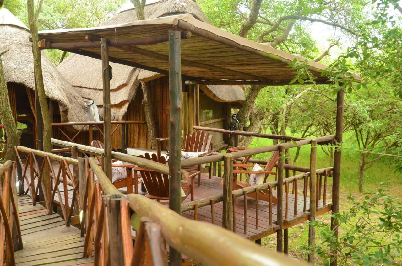 הודספרויט Pezulu Tree House Lodge מראה חיצוני תמונה