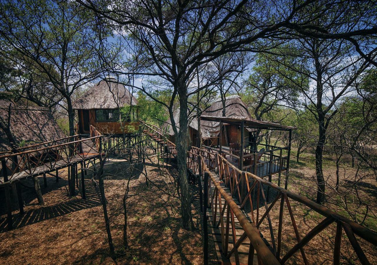 הודספרויט Pezulu Tree House Lodge מראה חיצוני תמונה